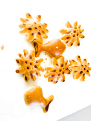 light brown salty biscuits in form of fishes and flowers