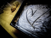 a painted heart on a greased baking tray and next to that is laying a finished bread dough