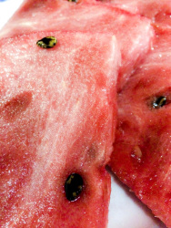 the fresh, juicy pulp of a watermelon with some dark brown seeds