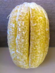 a very big lemon without peel looks like a grapefruit