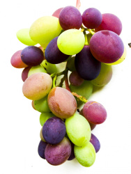 grapes green and red