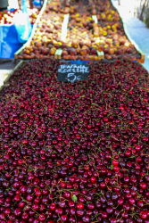 some kilos of fresh shiny red cherries on a market