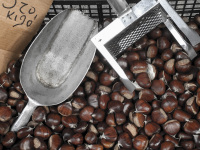 a box filled with fresh sweet chestnuts; with a weighing shovel you get some of it