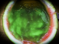 a scooped out watermelon filled with green jelly pudding