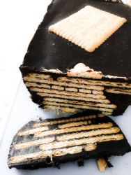 a cake with butter cookies and chocolate which in german is calling dog snout