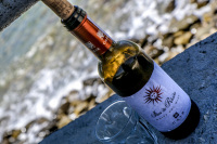 a bottle of red wine with an empty glass at the sea