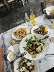 a typical big greek meal with greek salad, calamares, small fishes, garlic sauce and a bottle cair retsina