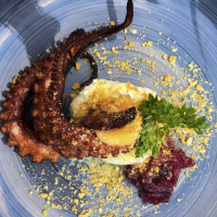 grilled octopus on top of a buffalo mozzarella with some basil and red onion chutney on a blue plate