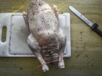 a seasoned and trussed duck on a white board and a knife next to it