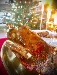 crispy christmas roast, a glass white wine and a christmas tree in the background