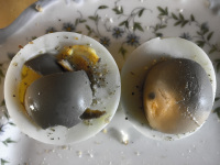 picknick with two pickled hard-boiled eggs on a plate with a floral pattern in the same colors