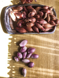 weighed and peeled shallots ready for prepairing greek stifado