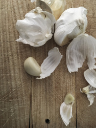 for a very nice tzatziki many cloves of garlic have to be peeled