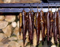 a lot of trouts hangs in a row for smoking