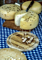three wheels of cheese and wooden boards for tasting cheese are on a blue white checkered tablecloth