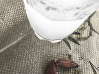 a glass of ouzo and three seeds of olives on a paper tablecloth with olive design