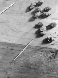 some olive seeds an two tooth picks on a wooden board, black-and-white