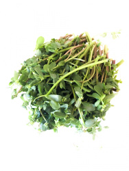 fresh purslane for preparing greek chorta
