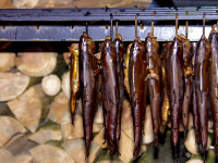 a lot of trouts hangs in a row for smoking