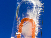 an orange ice mold with water ice in front of a blue sky