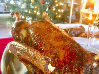crispy christmas roast, a glass white wine and a christmas tree in the background