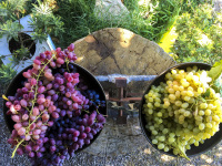 beautiful red and green grapes are laying on a scale