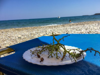 green grapes on a plate at the beach, already eaten up