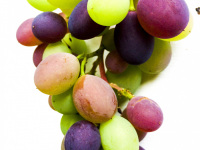 grapes green and red