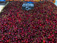 some kilos of fresh shiny red cherries on a market