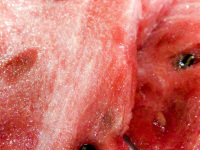 the fresh, juicy pulp of a watermelon with some dark brown seeds
