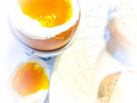 a soft boiled egg for breakfast