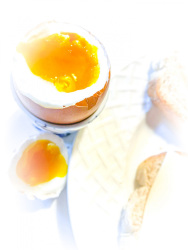 a soft boiled egg for breakfast
