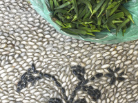 on a stony floor lays a green plastic bag full of okra pods