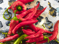 red pepperoni and some green ones are laying on a colorful tablecloth
