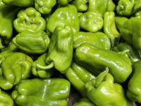 lots of shiny light green pepper pods fresh on a market