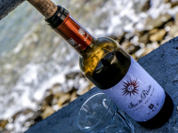 a bottle of red wine with an empty glass at the sea