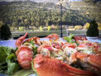 a portion boiled crayfishes with green salad in front of a landscape with mountains and a lake