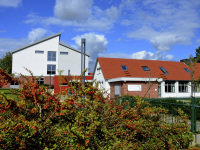 behind an autmnal bush with red berries you see the anne frank school in bergen in lower saxony
