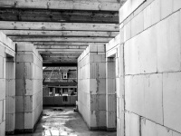 a not yet ready builded house while a topping out ceremony, black-and-white