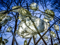 an artwork of metall and stones of glass in front of a blue sky and black bare oaks