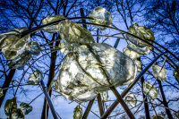an artwork of metall and stones of glass in front of a blue sky and black bare oaks