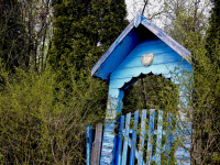 an old blue wooden entrance door of an allotment garden is overgrowned by green bushes
