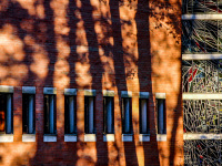 shadows of trees at the red wall of the church of the evangelical mission in hermannsburg in lower saxony