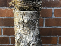 a bird\'s nest on an old tree trunk in front of a red stonework