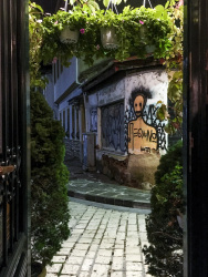 the entrance of the cafe chevalier in ioannina is framed with green plants, in the opposite are graffiti