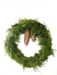 a conifere wreath decorated with two pine cones in front of a white wall