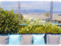 plants and pillows in the cafe lycabettus, behind you see athens