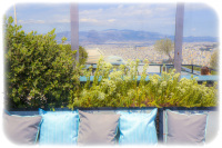 plants and pillows in the cafe lycabettus, behind you see athens