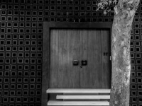 a tree in front of a modern entrance with a wooden front door in athens, black-and-white