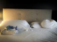 a little blue travel-dolphin in the cozy bed of the regent boutique hotel & spa in san marino